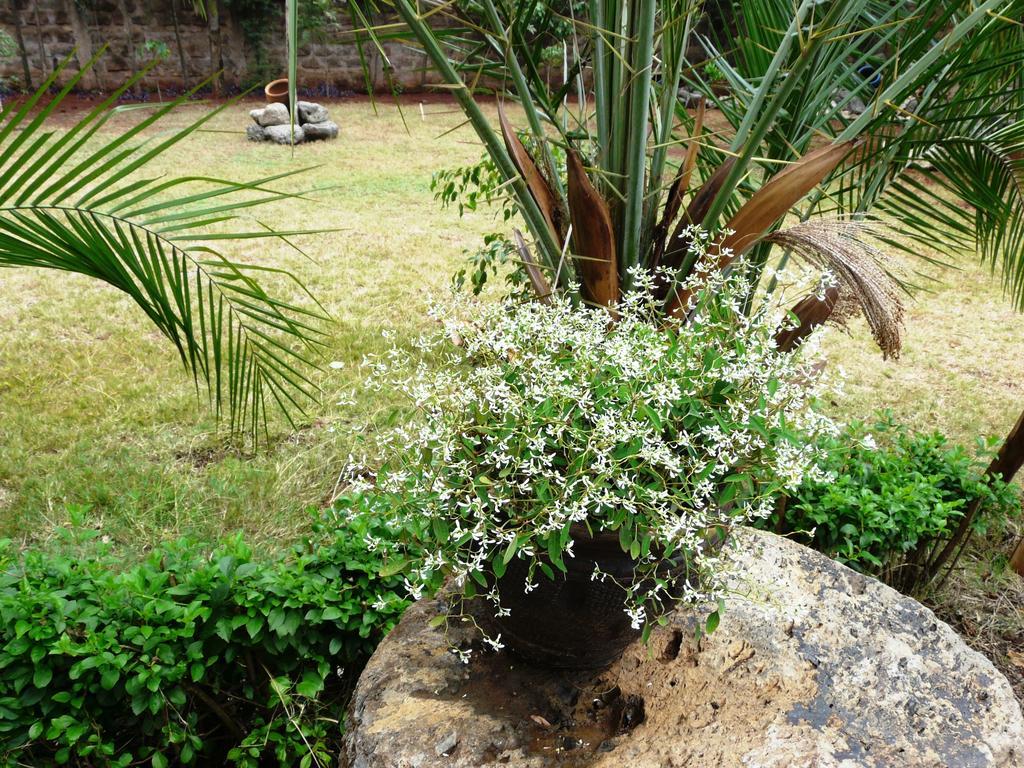 Maison Mitwaba Nairobi Kültér fotó