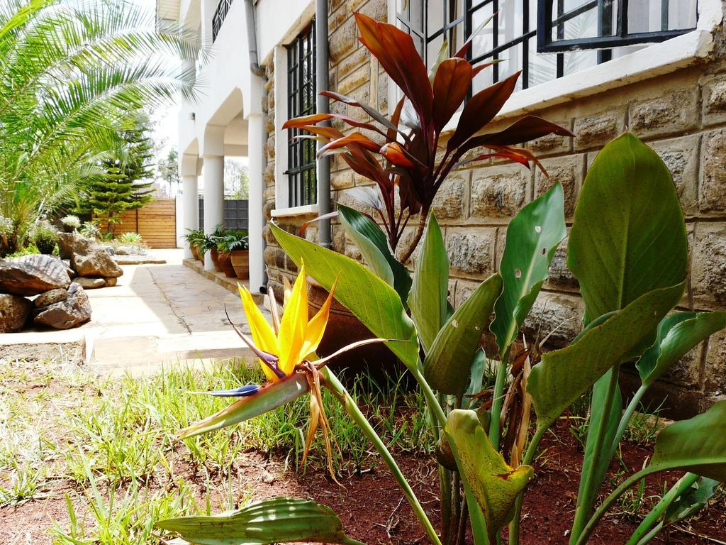 Maison Mitwaba Nairobi Kültér fotó